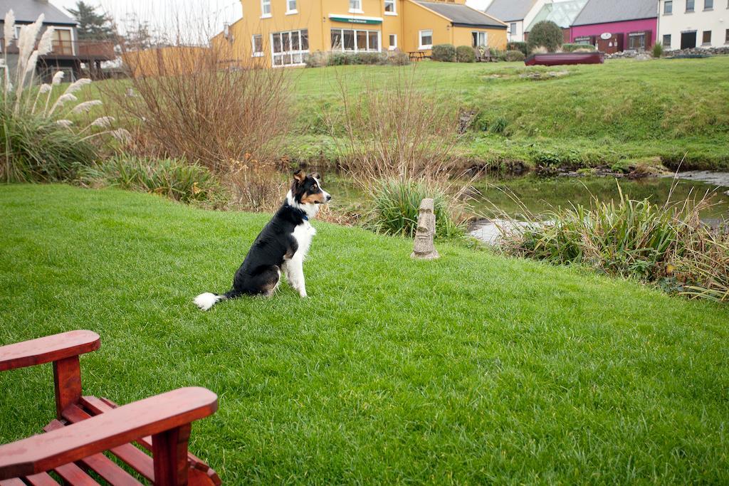Aille River Tourist Hostel And Camping Doolin Eksteriør bilde
