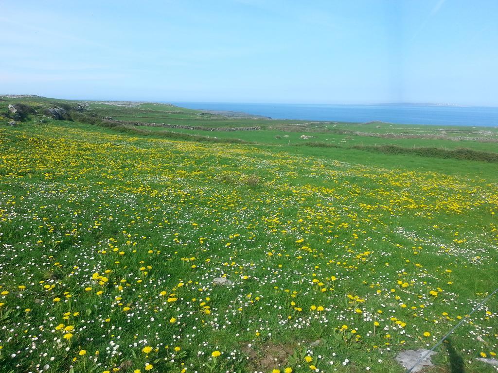 Aille River Tourist Hostel And Camping Doolin Eksteriør bilde